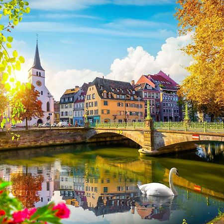 Bel Ami 01 - Turquoise & Or - Moderne Chic - Centre Ville - Acces Jardin - Clim - Wifi - Parking - Localisation Ideale Schiltigheim Exterior foto