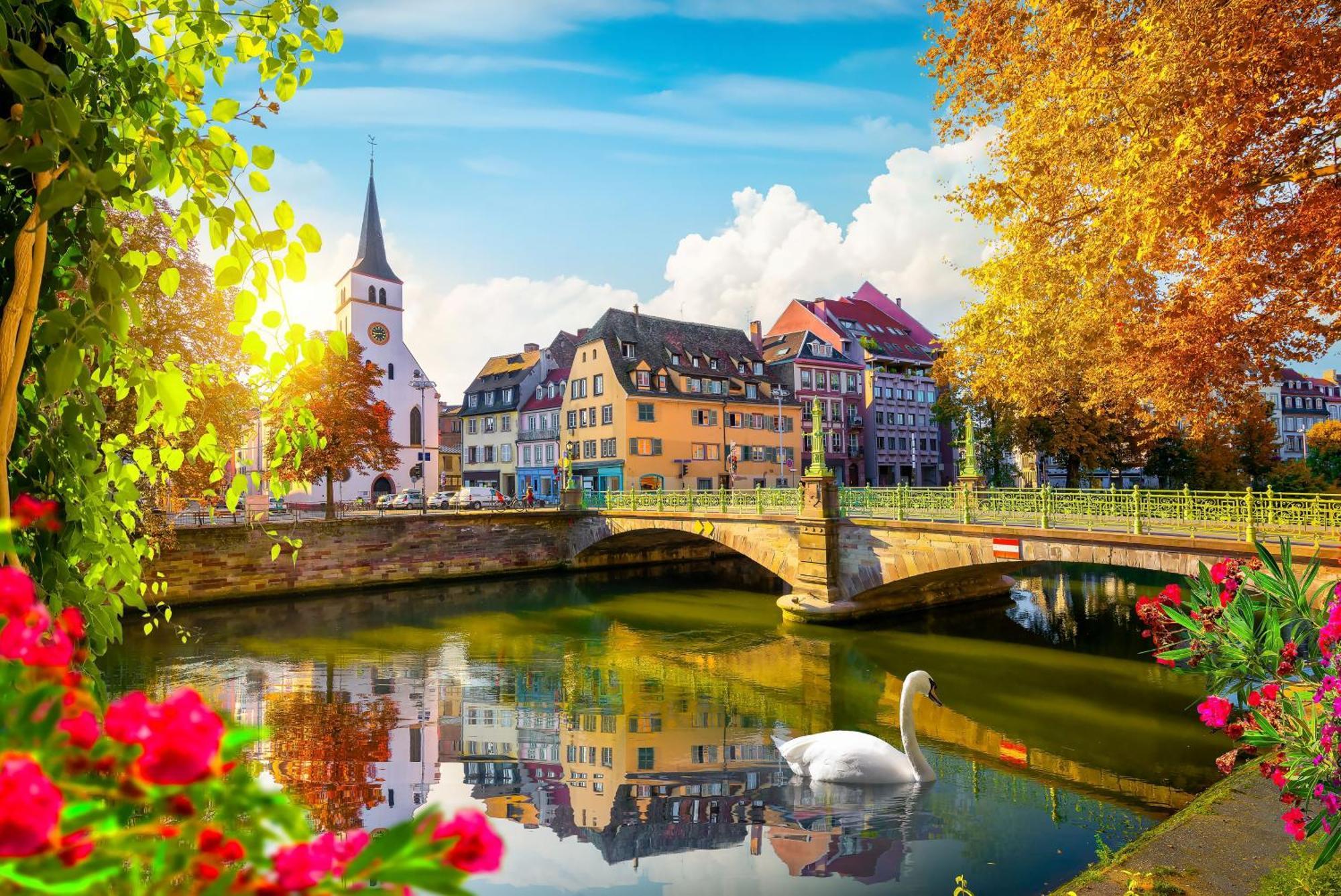 Bel Ami 01 - Turquoise & Or - Moderne Chic - Centre Ville - Acces Jardin - Clim - Wifi - Parking - Localisation Ideale Schiltigheim Exterior foto